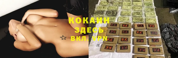 твердый Абаза