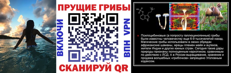 Псилоцибиновые грибы Psilocybine cubensis  гидра сайт  Брюховецкая  наркотики 